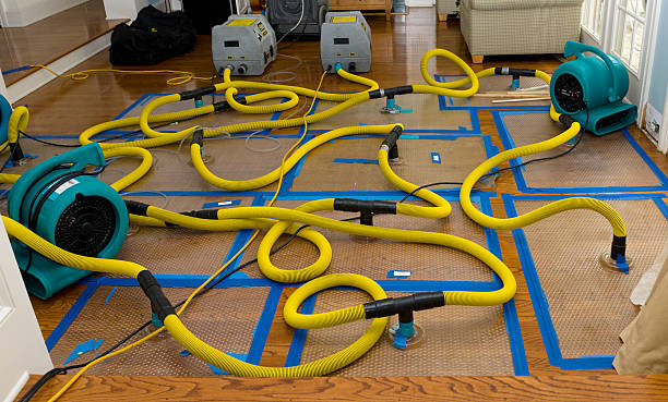 Professional Water Damage Repair technician working in Coupeville, WA